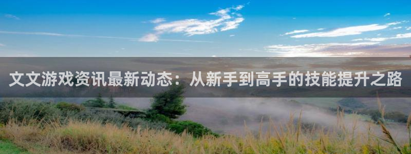 奇亿娱乐平台负责人：文文游戏资讯最新动态：从新手到高手的技能
